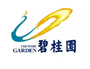 弋江碧桂园地产